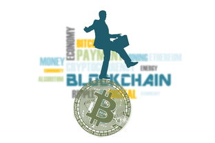 米兰官网-中国篮球运动中的跨学科研究发展趋势分析，篮球转跨